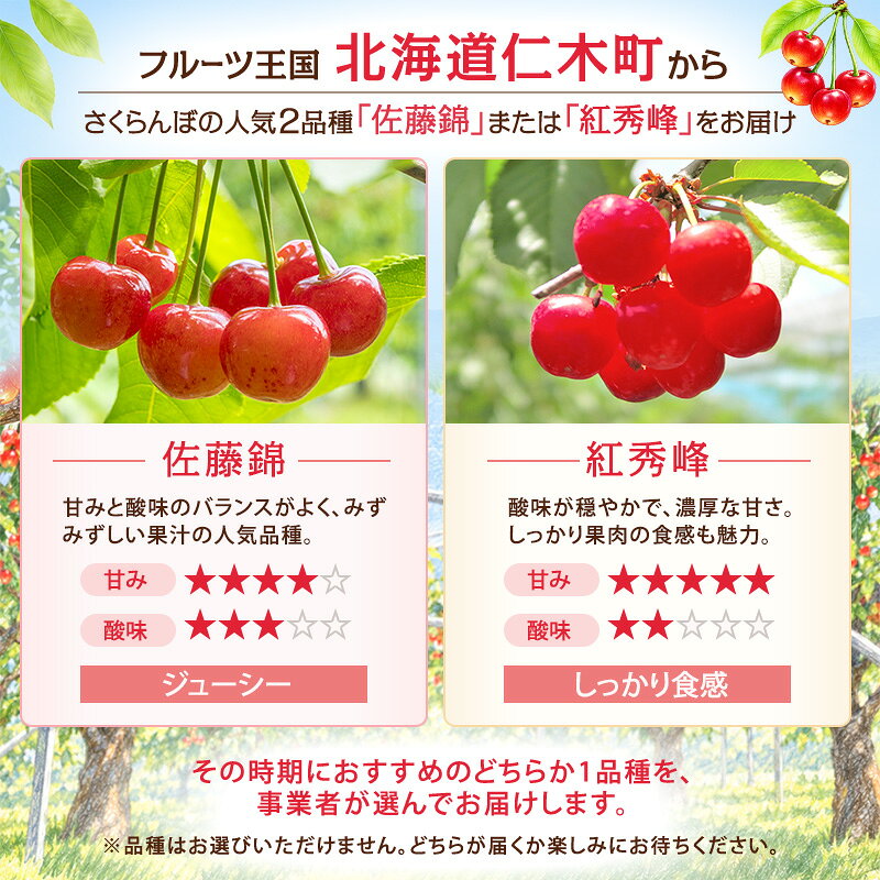 【ふるさと納税】2027年発送 北海道 仁木町産 さくらんぼ (Lサイズ以上) 800g～900g 佐藤錦 又は 紅秀峰 サクランボ チェリー フルーツ 果物 [くだものの笠井園]　お届け：2027年6月下旬～2027年7月中旬まで f014079-niki-10000237 北海道仁木町 サンプル画像3