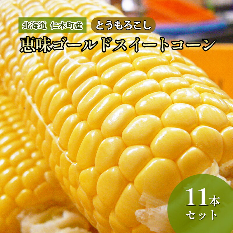 北海道 仁木町産 とうもろこし 恵味ゴールド スイートコーン 11本 セット [野菜・とうもろこし] お届け:2024年8月20日頃〜9月末