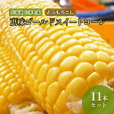 名称とうもろこし内容量とうもろこし【恵味ゴールド】11本 産地北海道仁木町産事業者峠のふもと紅果園配送方法冷蔵配送お届け時期2024年8月20日頃～9月末備考※画像はイメージです。 ※収穫したてのものを順次発送致しますので、お届け日の指定は出来ません。 ※沖縄県、離島へのお届けはできません。 ※上記のエリアからの申し込みは返礼品の手配が出来ないため、「キャンセル」または「寄附のみ」とさせていただきます。予めご了承ください。 ※天候や収穫状況により、お届けや規格が変更になる場合がございます。 ※出荷時期になりましたら、別途メールにてお届けについてのご案内をさせていただきます。 ※ご不在等により商品を受け取れなかった場合の再出荷は致しかねます。 ※商品到着後は、冷蔵保管の上早めにお召し上がりください。 ※賞味期限：発送より5日程度 ・ふるさと納税よくある質問はこちら ・寄附申込みのキャンセル、返礼品の変更・返品はできません。あらかじめご了承ください。【ふるさと納税】北海道 仁木町産 とうもろこし 恵味ゴールド スイートコーン 11本 セット　【野菜・とうもろこし】　お届け：2024年8月20日頃～9月末 【配送不可：沖縄県・離島】 「恵味ゴールド」は甘みが強く、とうもろこし本来の風味が際立った品種です。 昼夜の温度差が甘味を引出し、粒皮が柔らかく茹でても焼いても美味しく、コーンスープにするとコクと旨みが引き立つ、当園自慢のとうもろこしです。 寄附金の用途について 自治体におまかせ 受領証明書及びワンストップ特例申請書のお届けについて 入金確認後、注文内容確認画面の【注文者情報】に記載の住所にお送りいたします。発送の時期は、入金確認後1～2週間程度を目途に、お礼の特産品とは別にお送りいたします。 ■　ワンストップ特例について ワンストップ特例をご利用される場合、1月10日までに申請書が当庁まで届くように発送ください。 マイナンバーに関する添付書類に漏れのないようご注意ください。 ▽申請書のダウンロードはこちら https://event.rakuten.co.jp/furusato/guide/onestop/