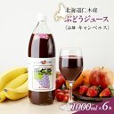 【ふるさと納税】北海道仁木産ぶどうジュース（品種：キャンベルス）：6本 【果汁飲料 野菜飲料 ぶどうジュース ブドウ ぶどう】