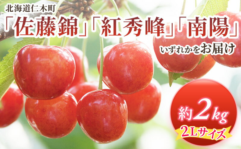 【ふるさと納税】先行予約 北海道 仁木町産 さくらんぼ 約2kg 2Lサイズ 仁木ファーム 果実　【果物類・フルーツ・さくらんぼ・チェリー】　お届け：2024年7月上旬～下旬頃