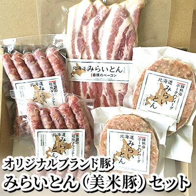 先行予約 みらいとん（美米豚）セット：ビィクトリーポークのオリジナルブランド豚　【肉の加工品・お肉・ハンバーグ】　お届け：2024年11月～2025年1月末まで