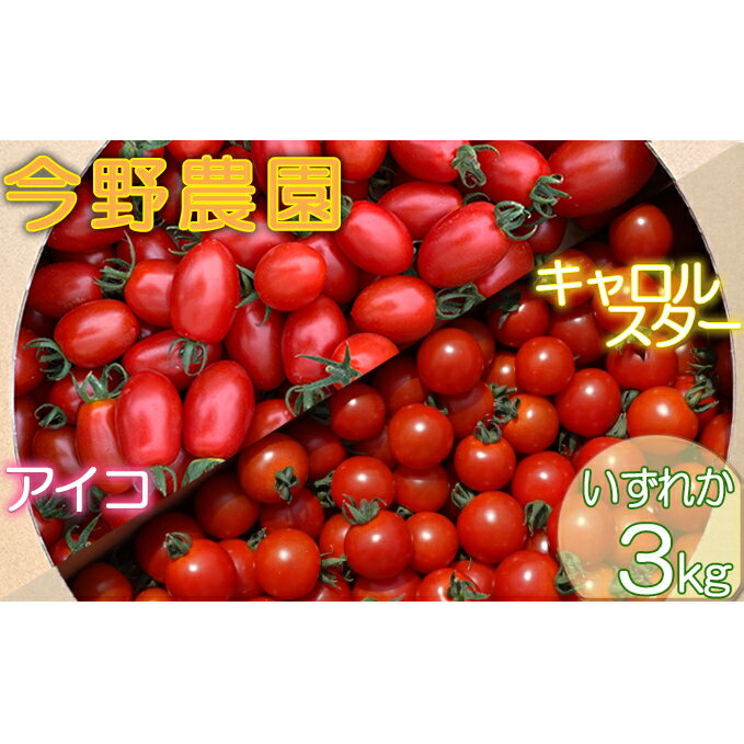 27位! 口コミ数「1件」評価「5」先行予約 2024年8月発送 北海道 仁木町産 ミニトマト 3kg 今野農園　【野菜・ミニトマト】　お届け：2024年8月10日～9月末まで