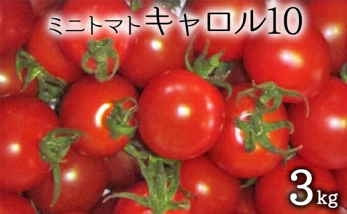 【ふるさと納税】先行受付 2024年8月出荷 北海道 仁木町産 ミニトマト 3kg （品種： キャロル10 ） 　【野菜・ミニトマト・とまと・トマト】　お届け：2024年8月上旬～9月20日頃