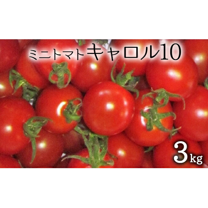 【ふるさと納税】先行受付 2024年8月出荷 北海道 仁木町産 ミニトマト 3kg （品種： キャロル10 ） 　【野菜・ミニトマト・とまと・トマト】　お届け：2024年8月上旬～9月20日頃