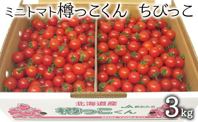 【ふるさと納税】先行受付 2024年8月出荷 北海道 仁木町産 樽っこくん ちびっこ 3kg ミニトマト　【野菜・ミニトマト・トマト・とまと】　お届け：2024年8月上旬～9月20日頃