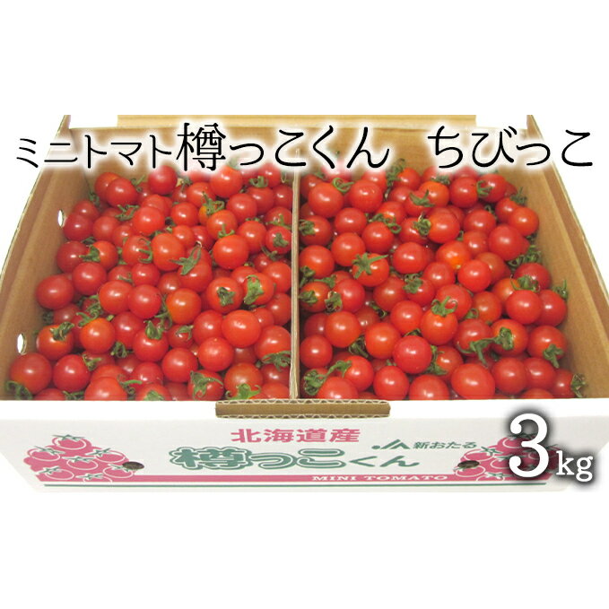 先行受付 2024年8月出荷 北海道 仁木町産 樽っこくん ちびっこ 3kg ミニトマト　【野菜・ミニトマト・トマト・とまと】　お届け：2024年8月上旬～9月20日頃