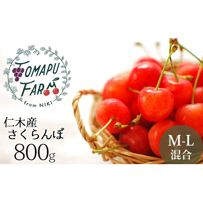 【ふるさと納税】北海道 仁木町産 農業ママのサクランボ 800g（200g×4）チェリー さくらんぼ ＜トマップファーム＞　果物類・フルーツ・さくらんぼ・チェリー・サクランボ　お届け：2024年6月下旬～7月20日頃のサムネイル