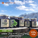 【ふるさと納税】北海道仁木町産 自然栽培ブルーベリージャム 120g×6本 栽培期間中 除草剤・化学農薬・化学肥料不使用 果物 詰合せ セット フルーツ [io...