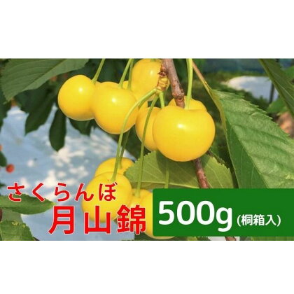 峠のふもと紅果園 北海道 仁木町産 さくらんぼ【 月山錦 】一段並べ 桐箱入り 500g　【果物類・フルーツ・さくらんぼ・サクランボ・月山錦・チェリー】　お届け：2024年7月10日頃～7月25日頃