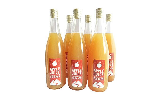 【ふるさと納税】峠のふもと紅果園の完熟！リンゴジュース710ml×6本セット 飲料類 果汁飲料 りんご 林檎 ジュース [峠のふもと紅果園]
