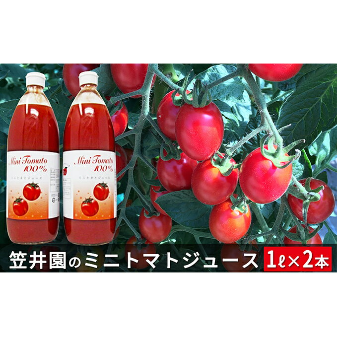 55位! 口コミ数「0件」評価「0」ミニトマト「アイコ」で作ったトマトジュース2本セット　【野菜ジュース・果汁飲料・野菜飲料・トマトジュース・野菜・ミニトマト】