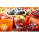 【ふるさと納税】笠井園のジュース3種セット 計12本(ミニトマト リンゴ ブドウ:各1L×4本ずつ )トマトジュース 飲料類 りんご 果汁飲料 野菜飲料 ぶどう...