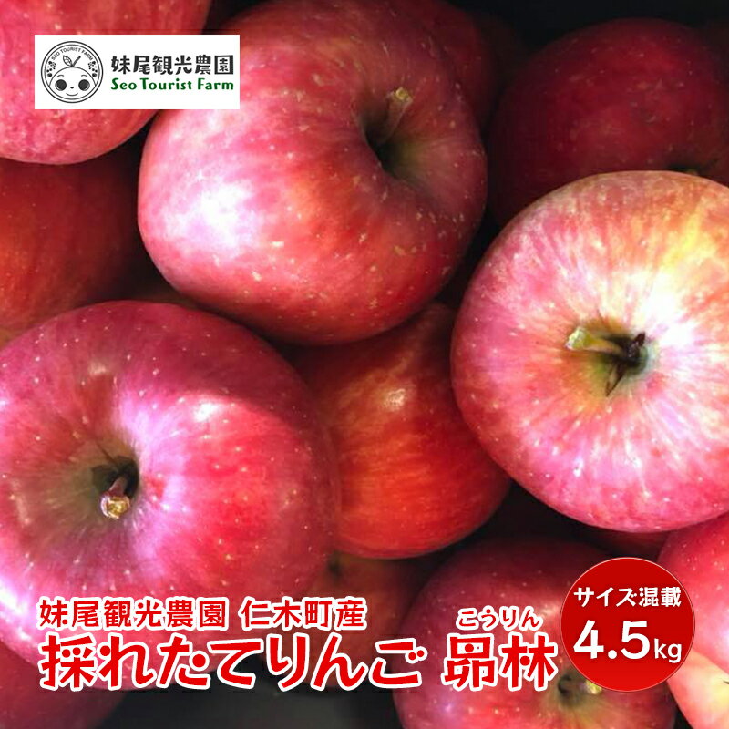 [先行受付/2024年10月出荷開始]仁木町の採れたてりんご「昴林(こうりん)」4.5kg[妹尾観光農園] 北海道 果物 フルーツ リンゴ [果物類・林檎・りんご・リンゴ・フルーツ・昴林] お届け:2024年10月中旬〜11月上旬