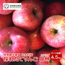 【ふるさと納税】【先行受付/2024年10月出荷開始】仁木町の採れたてりんご「昴林（こうりん）」4.5kg［妹尾観光農園］ 北海道 果物 フルーツ リンゴ　【果物類・林檎・りんご・リンゴ・フルーツ・昴林】　お届け：2024年10月中旬～11月上旬