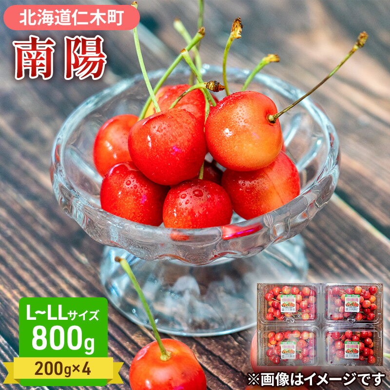 【ふるさと納税】大塚農園 さくらんぼ【 南陽 】800g（200g×4）サクランボ フルーツ　果物類・フルーツ・さくらんぼ・チェリー・サクランボ・南陽　お届け：2024年7月10日～25日頃のサムネイル