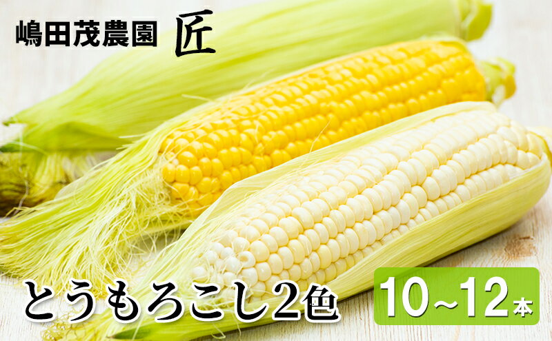 【ふるさと納税】先行受付 2024年8月から順次出荷 北海道 仁木町産 新鮮 とうもろこし 2色セット【10～12本】 嶋田茂農園　【野菜・とうもろこし・トウモロコシ・コーン】　お届け：2024年8月10日頃～9月下旬