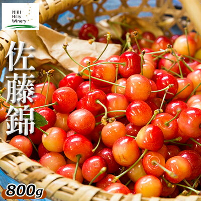 【ふるさと納税】北海道産 佐藤錦 800g バラ 秀品 Lサイズ以上 サクランボ 朝採り 当日発送　 果物類 　お届け：2024年7月上旬～7月中旬のサムネイル