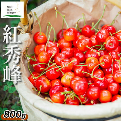 先行予約 北海道産 紅秀峰 800g バラ 秀品 Lサイズ以上 サクランボ 朝採り 当日発送 [果物類・フルーツ・さくらんぼ・チェリー] お届け:2024年7月上旬〜7月中旬