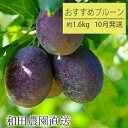 【ふるさと納税】【10月発送】和田農園のおすすめプルーン1.6kg（北海道仁木町産）　【果物類・フルーツ・果物詰合せ・プルーン・1.6kg】　お届け：2024年9月下旬～10月中旬