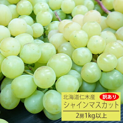 【ふるさと納税】【先行受付／2023年10月中旬から順次出荷】【1kg以上】松山商店シャインマスカット ご家庭用 訳あり（北海道仁木町産）　【果物・ぶどう・フルーツ・果物類・マスカット・ブドウ・シャインマスカット・1kg以上】　お届け：2023年10月中旬〜11月上旬のサムネイル