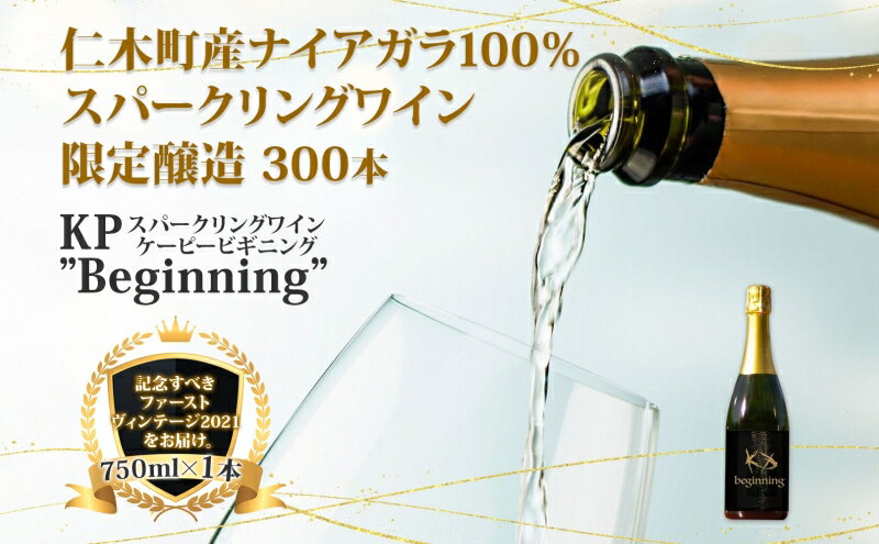 【ふるさと納税】【北海道産ワイン】 限定スパークリングワイン KP”Beginning 750ml×1本 仁木町産ナイアガラ100%使用 ワイン 白 辛口 スパークリング　【お酒・シャンパン・スパークリングワイン・ワイン・辛口】