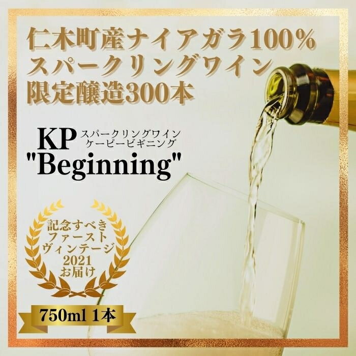 【ふるさと納税】【北海道産ワイン】 限定スパークリングワイン KP”Beginning 750ml×1本 仁木町産ナイアガラ100%使用 ワイン 白 辛口 スパークリング　【お酒・シャンパン・スパークリングワイン・ワイン・辛口】