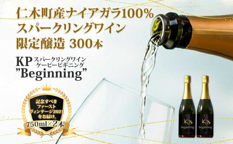 【ふるさと納税】【北海道産ワイン】 限定スパークリングワイン KP”Beginning 750ml×2本 仁木町産ナイアガラ100%使用 ワイン 白 辛口 スパークリング　【お酒・シャンパン・スパークリングワイン・ワイン・辛口】