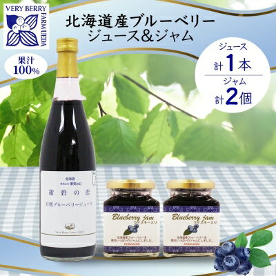 【ふるさと納税】北海道産 ブルーベリージュース 710ml 1本 ブルーベリージャム 180g 2個 セット ジャム瓶 ブルーベリー 詰め合わせ 果汁100 ジュース フルーツ 果物 自然農園 お取り寄せ ギフト 贈り物 のし　【 果汁飲料 】のサムネイル