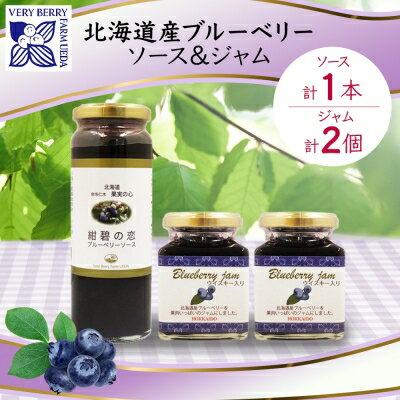 【ふるさと納税】北海道産 ブルーベリーソース 200g 1本 ブルーベリージャム 180g 2個セット ジャム瓶 ブルーベリー 詰め合わせ フルーツ 果物 自然農園 お取り寄せ ギフト 贈り物 産地直送 のし 北海道 仁木町