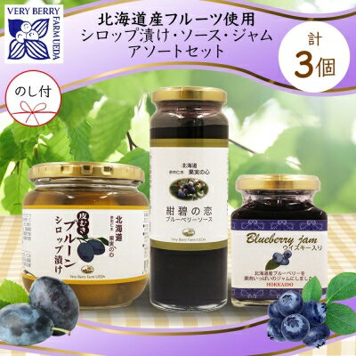 【ふるさと納税】無地熨斗 北海道産 プルーンシロップ漬け ブルーベリーソース ブルーベリージャム 計3個 セット 詰め合わせ ギフト 熨斗付き フルーツ 果物 コンポート 自然農園 お取り寄せ ギフト 産地直送 のし　【 フルーツ 】のサムネイル