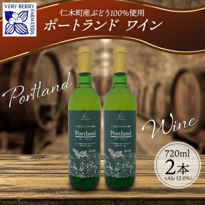 【ふるさと納税】ポートランド ブドウ ワイン 720ml 2