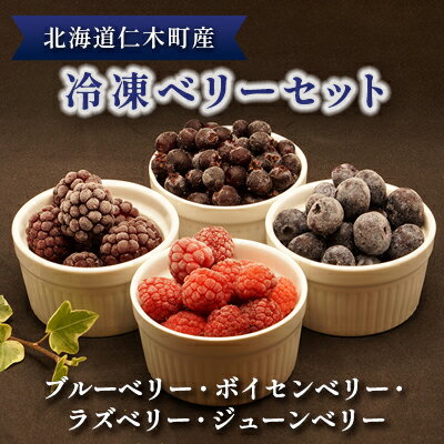 【ふるさと納税】北海道仁木町産 冷凍 ベリーセット〈ブルーベリー・ボイセンベリー・ラズベリー・ジュー ...
