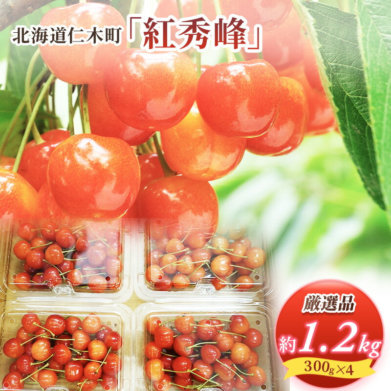 30位! 口コミ数「1件」評価「5」 先行受付 2024年7月から出荷 北海道 仁木町産 サクランボ 紅秀峰 1.2kg 厳選品 松山商店　【 果物 フルーツ チェリー 旬の果･･･ 