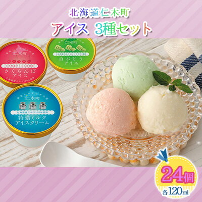 【ふるさと納税】北海道 仁木町 アイス 3種 セット 24個入り（各120ml×8個×3種） 詰合せ さくらんぼ チェリー ぶどう グレープ ミルク ..