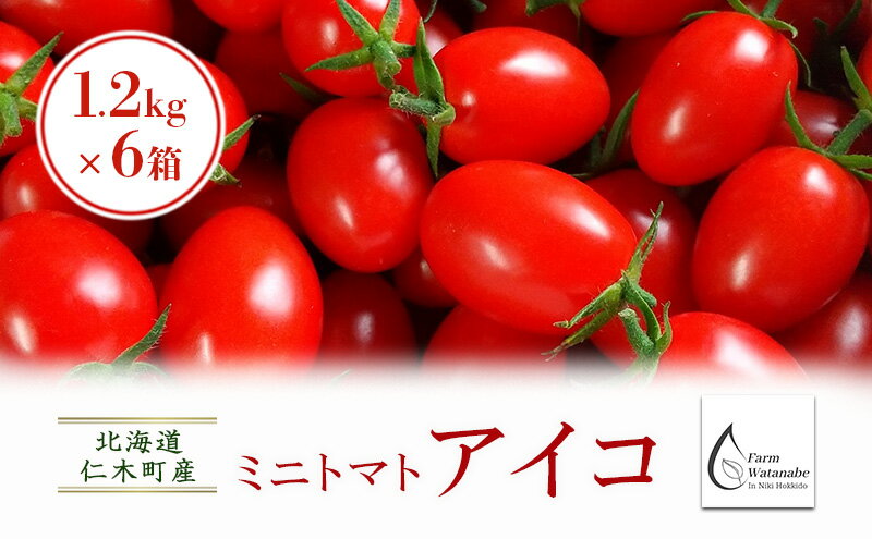 【ふるさと納税】北海道仁木町産ミニトマト【アイコ】1.2kg×6箱［栽培期間中 農薬不使用］　【 高糖度 果肉 厚い かため 日持ち 完熟 グルタミン酸 生食 加熱調理 農薬節約栽培 】　お届け：2024年8月中旬～9月下旬