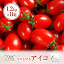 【ふるさと納税】北海道仁木町産ミニトマト【アイコ】1.2kg×8箱［栽培期間中 農薬不使用］　【 高糖度 果肉 厚い かため 日持ち 完熟 グルタミン酸 生食 加熱調理 農薬節約栽培 】　お届け：2024年8月中旬～9月下旬