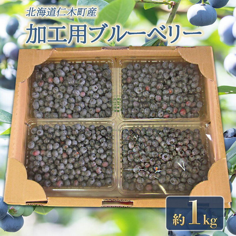 名称ブルーベリー内容量加工用ブルーベリー約1kg ※サイズ混載 産地北海道仁木産事業者小林信幸配送方法冷蔵配送お届け時期2024年7月20日～8月20日頃備考※画像はイメージです。 ※商品到着後、早めにお召し上がりください。 ※収穫したてのものを順次発送致しますので、お届け日の指定は出来ません。 ※天候や収穫状況により、お届けや規格が変更になる場合がございます。 ※配送時の揺れや傾きにより若干の傷が生じる場合がございます。 ※出荷時期に、別途お届けについてのご案内メールを配信いたします。必ずご確認ください。 ※ご不在等により、商品を受け取れなかった場合の再出荷は致しかねます。 ※賞味期限：発送より5日程度（冷蔵） ・ふるさと納税よくある質問はこちら ・寄附申込みのキャンセル、返礼品の変更・返品はできません。あらかじめご了承ください。【ふるさと納税】先行予約 農園の加工用 ブルーベリー 約1kg 北海道 仁木町産　【 果物 フルーツ 果実 ジャム ジュース お菓子 そのまま ブルーベリージャム ジャムづくり 食べ物 食品 】　お届け：2024年7月20日～8月20日頃 北海道仁木町の農園≪さくらんぼヶ丘 niki house≫では、さくらんぼとブルーベリーを栽培しています。 北海道仁木町では、ブルーベリーの収穫期は7月下旬～8月上旬頃に迎えます。 ジャム、ジュース、お菓子などにしてみてはいかがでしょうか。 ※加工用ですが、そのままでも美味しく頂けます。 寄附金の用途について 自治体におまかせ 受領証明書及びワンストップ特例申請書のお届けについて 入金確認後、注文内容確認画面の【注文者情報】に記載の住所にお送りいたします。発送の時期は、入金確認後1～2週間程度を目途に、お礼の特産品とは別にお送りいたします。 ■　ワンストップ特例について ワンストップ特例をご利用される場合、1月10日までに申請書が当庁まで届くように発送ください。 マイナンバーに関する添付書類に漏れのないようご注意ください。 ▽申請書のダウンロードはこちら https://event.rakuten.co.jp/furusato/guide/onestop/