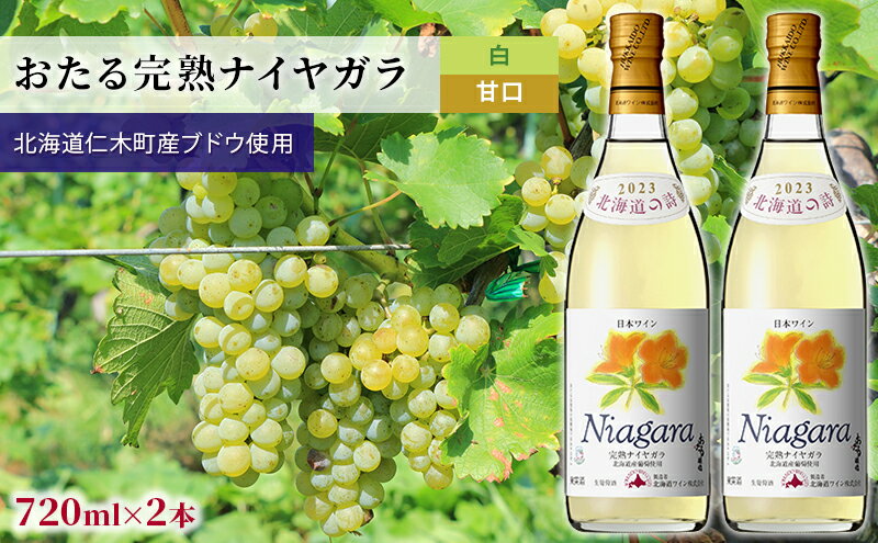 【ふるさと納税】【2本】おたる完熟ナイヤガラ（白／甘口）　【 お酒 アルコール ワイン 甘い 濃密 華やか 香り 魅力的 高品質 】