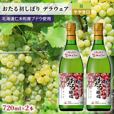 24位! 口コミ数「0件」評価「0」おたる初しぼり　デラウェア（白／やや甘口）　【 お酒 アルコール 果実酒 芳醇 まろやか 白ワイン 上品 新酒 生ワイン】