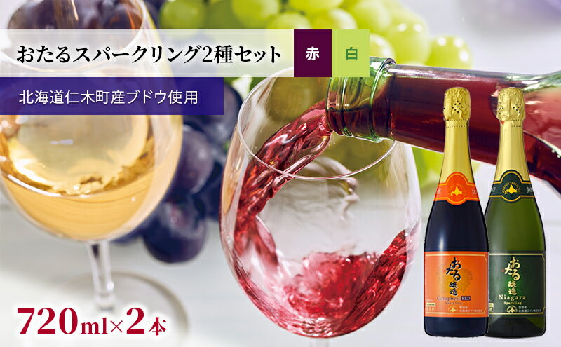 【ふるさと納税】【飲み比べ3本】おたるスパークリング3種セット　【 お酒 アルコール 果実酒 フルーティ 華やか 香り 人気 辛口 新酒 上質 冷やして 】