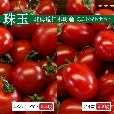 【ふるさと納税】北海道 仁木町 【珠玉】まる ミニトマト 500g & アイコ 500g 　【 野菜 生野菜 緑黄色..