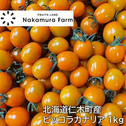 [野菜ソムリエサミット銀賞] この甘さフルーツ級?! ミニトマト 1kg ピッコラカナリア （オレンジ）北海道仁木町産【2024年発送】　【 野菜 トマト おやつ 】　お届け：2024年7月下旬～2024年9月末まで