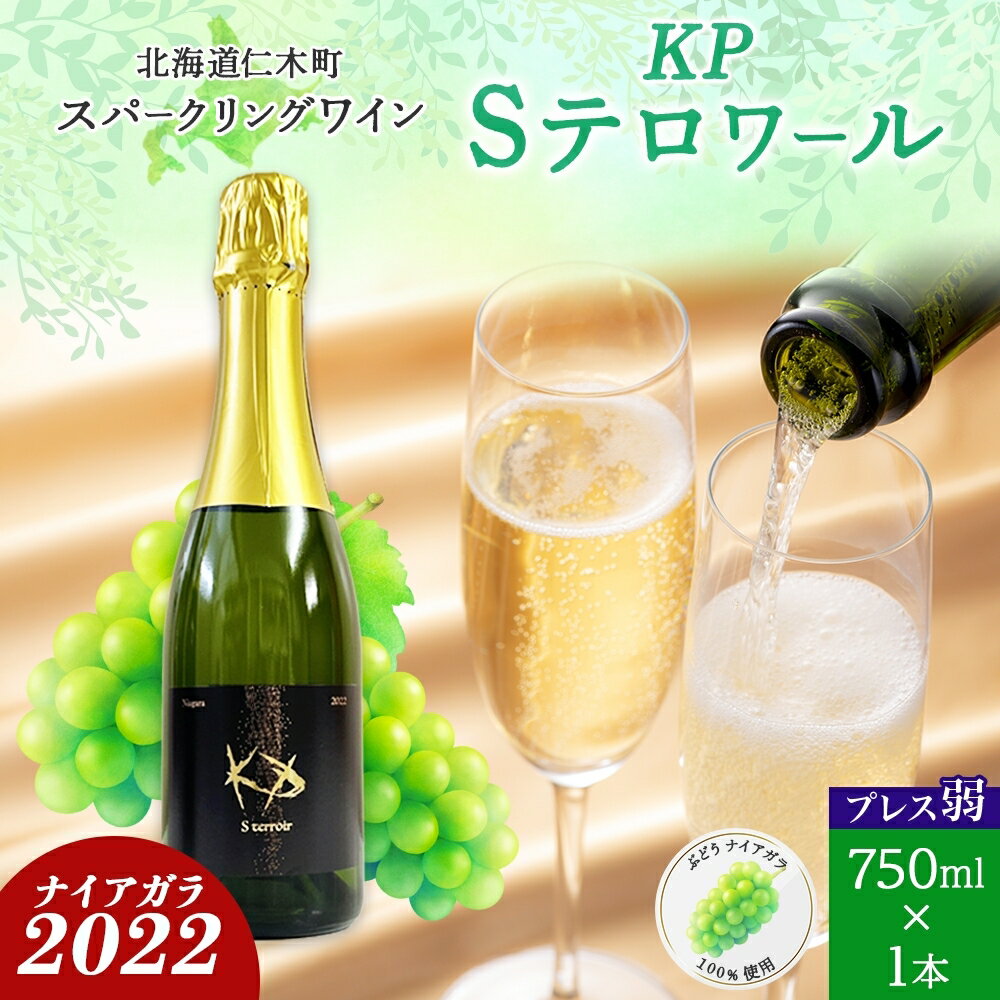 北海道産 スパークリング ワイン 750ml 1本 KPワイン Sテロワール ぶどう ナイアガラ 葡萄 ブドウ 白ワイン 辛口 酒 お酒 贈答 贈り物 お祝い ギフト 記念日 送料無料　【仁木町】　お届け：2024年3月中旬より順次出荷