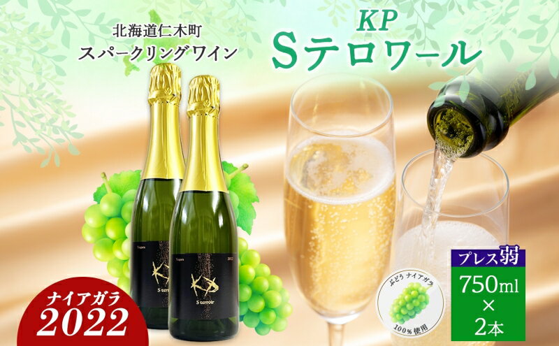 【ふるさと納税】北海道産 スパークリング ワイン 750ml 2本 KPワイン Sテロワール ぶどう ナイアガラ 葡萄 ブドウ 白ワイン 辛口 酒 お酒 贈答 贈り物 お祝い ギフト 記念日 送料無料　【仁木町】　お届け：2024年3月中旬より順次出荷