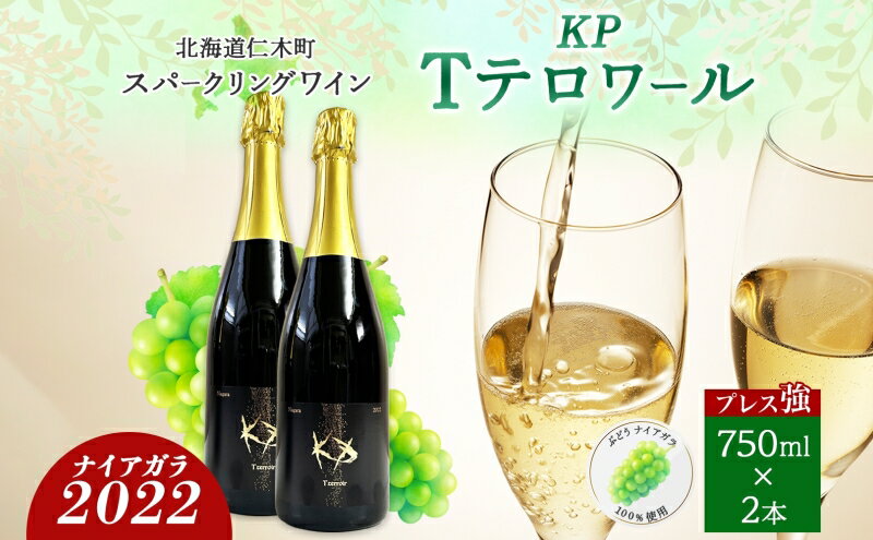 【ふるさと納税】北海道産 スパークリング ワイン 750ml 2本 KPワイン Tテロワール ぶどう ナイアガラ 葡萄 ブドウ 白ワイン 辛口 酒 お酒 贈答 贈り物 お祝い ギフト 記念日 送料無料　【仁木町】　お届け：2024年3月中旬より順次出荷