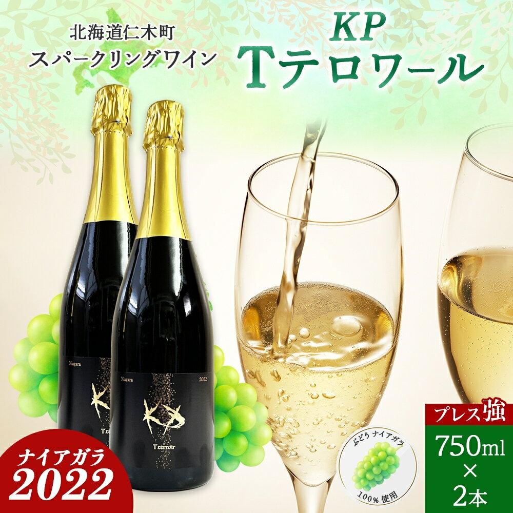 【ふるさと納税】北海道産 スパークリング ワイン 750ml 2本 KPワイン Tテロワール ぶどう ナイアガラ 葡萄 ブドウ 白ワイン 辛口 酒 お酒 贈答 贈り物 お祝い ギフト 記念日 送料無料　【仁木町】　お届け：2024年3月中旬より順次出荷