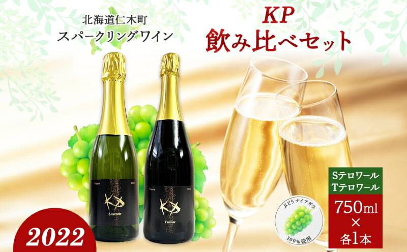 【ふるさと納税】北海道産 スパークリング ワイン 750ml 各1本 KPワイン T S テロワール ぶどう ナイアガラ 葡萄 ブドウ 白ワイン 辛口 酒 お酒 贈答 贈り物 お祝い ギフト 記念日 送料無料　【仁木町】　お届け：2024年3月中旬より順次出荷