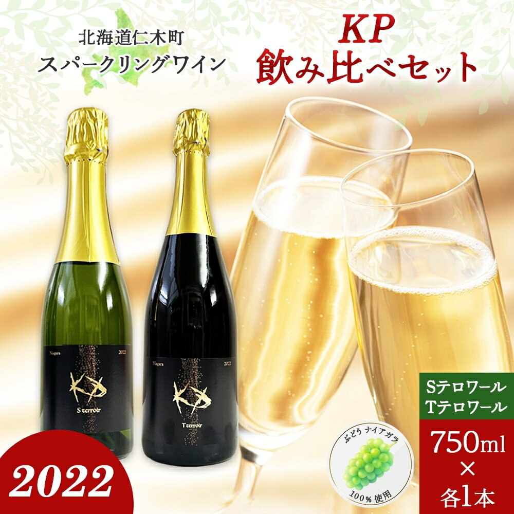 北海道産 スパークリング ワイン 750ml 各1本 KPワイン T S テロワール ぶどう ナイアガラ 葡萄 ブドウ 白ワイン 辛口 酒 お酒 贈答 贈り物 お祝い ギフト 記念日 送料無料　【仁木町】　お届け：2024年3月中旬より順次出荷