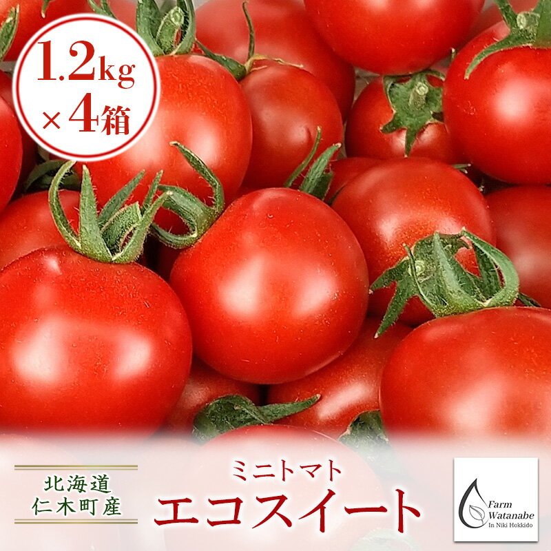 【ふるさと納税】北海道仁木町産ミニトマト【エコスイート】1.2kg×4箱［栽培期間中 農薬不使用］　【 ...